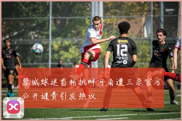 蓉城球迷首轮挑衅河南遭三杀官方公开谴责引发热议