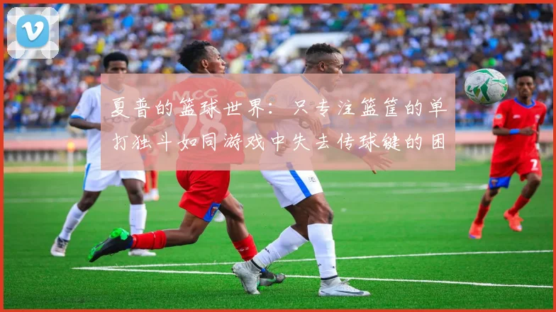夏普的篮球世界：只专注篮筐的单打独斗如同游戏中失去传球键的困境