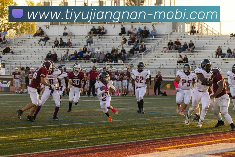 江南体育平台生态图